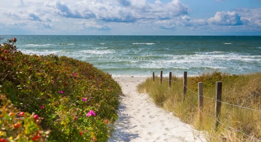 Sandiger Pfad zum **Grambin Strand**, gesäumt von Rosenbüschen und Dünen. Das Meer rauscht, Wolken ziehen am Himmel.