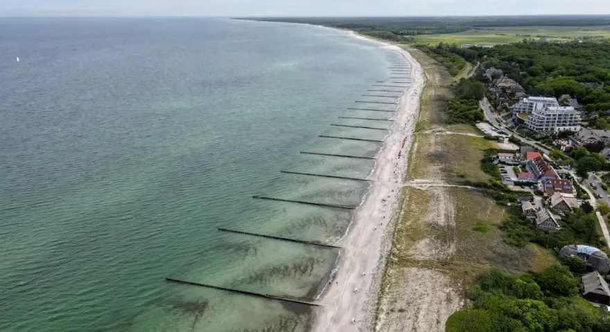 Luftaufnahme des Ahrenshoop Strandes mit Wellenbrechern, Sand und Bäumen. Ein Segelboot ist auf dem Meer zu sehen.