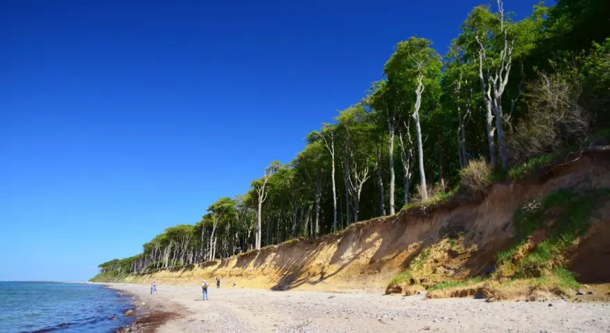 Der Strand Nienhagen mit seiner beeindruckenden Steilküste und dem dichten Buchenwald. Ein paar Spaziergänger genießen die klare Luft.