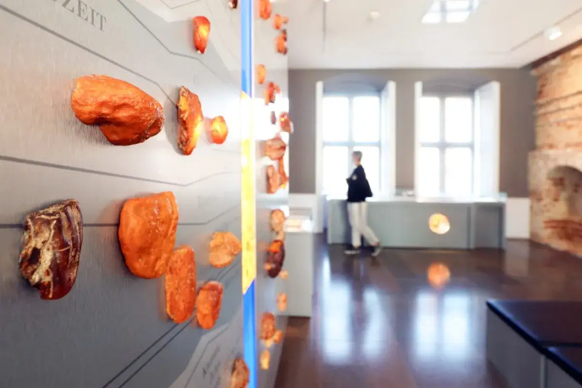 Bernstein-Ausstellung in Ribnitz-Damgarten: Besucher bestaunen die Vielfalt des goldenen Schatzes.
