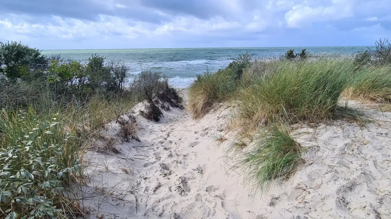 Pfad durch Dünen zum Markgrafenheide Strand. Gräser und Büsche säumen den Sandweg, dahinter das Meer unter bewölktem Himmel.