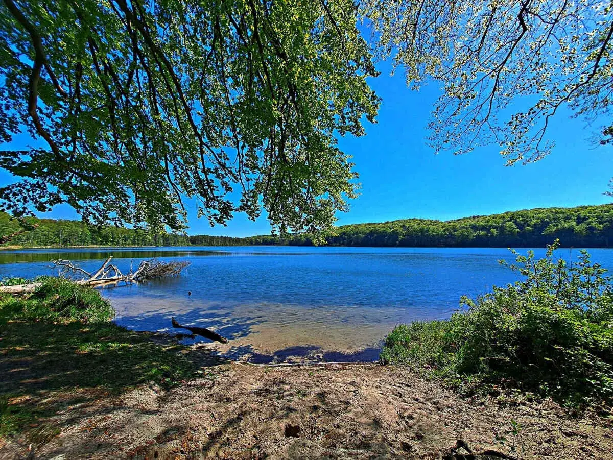 Ein ruhiger See mit klarem Wasser und einem sandigen Ufer, umgeben von grünen Wäldern. Ein idealer Ort für einen entspannten Tag am Zirchow Strand.