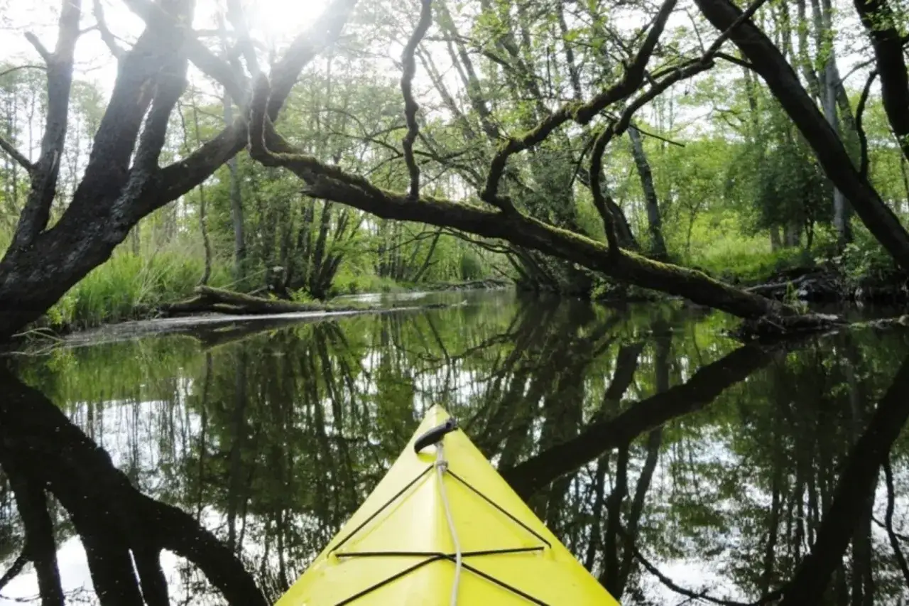 Gelbes Kanu gleitet durch einen ruhigen Fluss in Weitendorf, umgeben von &uuml;ppigem Gr&uuml;n und spiegelnden B&auml;umen.