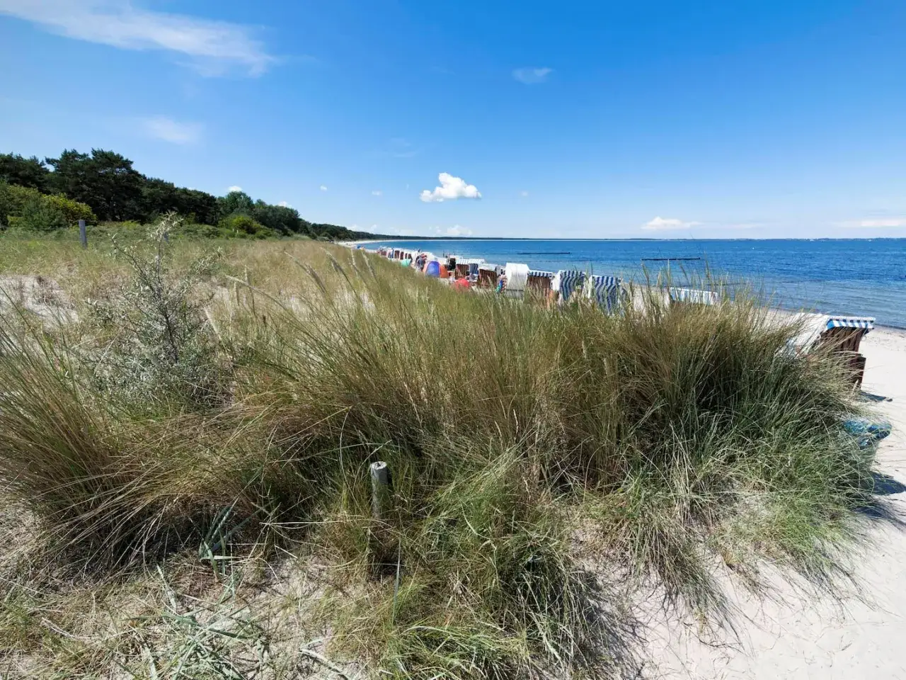 Ein sonniger Strand mit Strandkörben und Dünen. Die See ist ruhig, der Himmel blau. Ein Ort wie aus einem Roman von John Steinbeck.