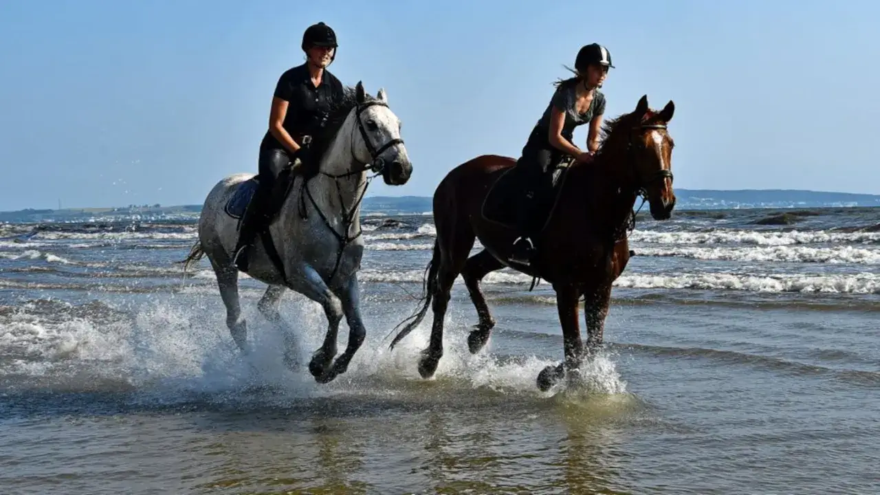 Zwei Reiterinnen galoppieren mit ihren Pferden durch die Wellen der Ostsee.