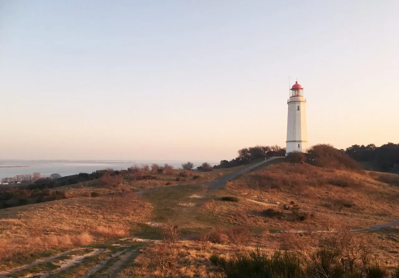 Der Leuchtturm Hiddensee ragt auf einer H&uuml;gelkuppe empor, umgeben von trockener Vegetation und dem weiten Meer im Hintergrund.