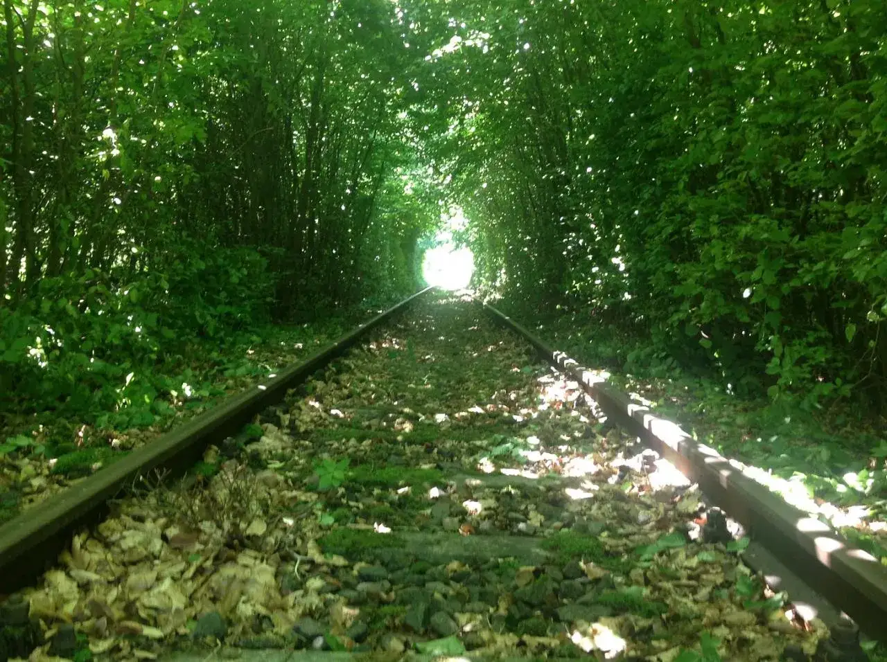 Schienen f&uuml;hren durch einen gr&uuml;nen Tunnel aus B&auml;umen. Ein Licht am Ende l&auml;sst an eine Fahrt mit der draisine dargun denken.