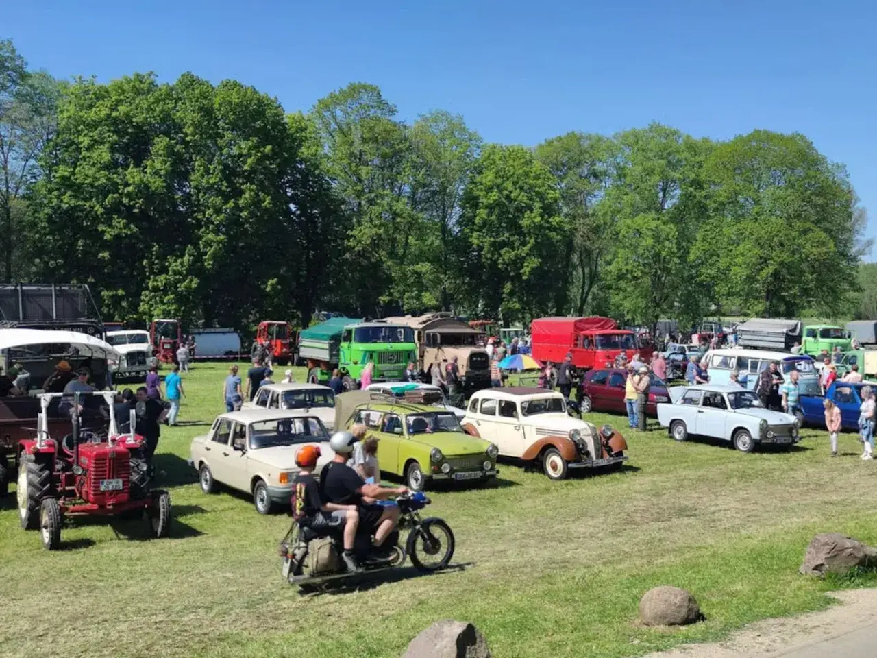 Ein sonniges Oldtimertreffen in Mecklenburg-Vorpommern mit vielen historischen Fahrzeugen, darunter Trabis, Lkw und Traktoren, auf einer gr&uuml;nen Wiese.