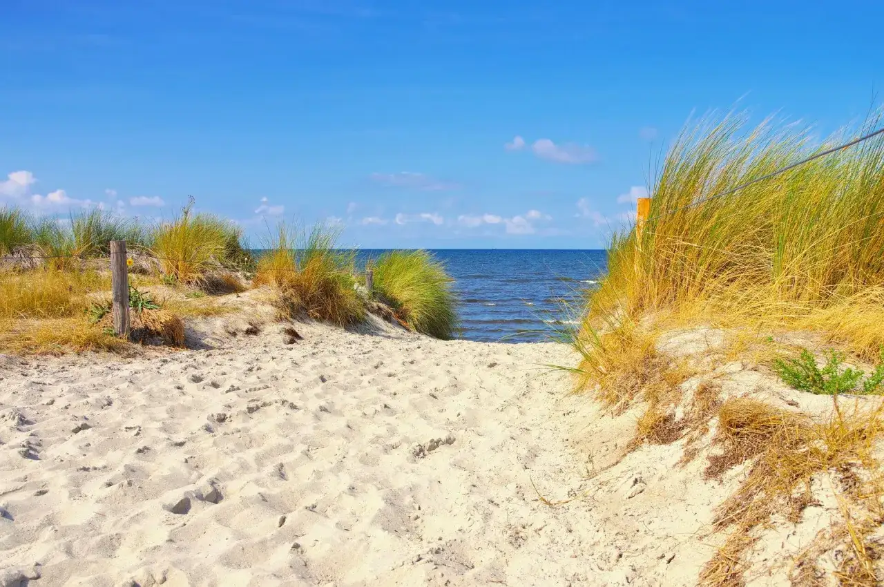 Sandiger Weg durch Dünen zum Strand der Insel Poel. Das Meer glitzert unter blauem Himmel.