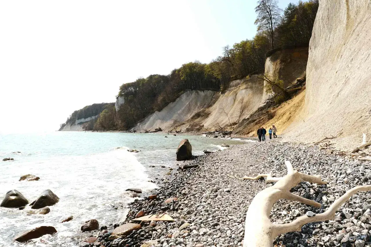 Schaabe Strand mit Kreidefelsen und Bäumen. Kleine Gruppe von Menschen spaziert am steinigen Ufer entlang.