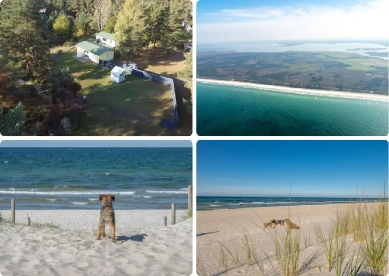Vier Bilder zeigen den barth strand: ein Haus im Wald, eine Luftaufnahme der K&uuml;ste, ein Hund am Meer und zwei Hunde am Strand.