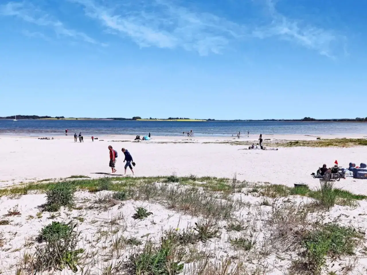 Ein sonniger Tag am Greifswald Strand. Menschen spazieren am wei&szlig;en Sand, das Meer glitzert, im Hintergrund Felder.
