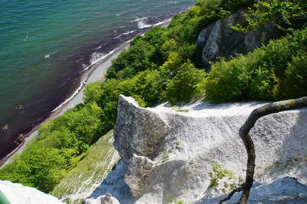 Ein Pfad f&uuml;hrt durch den Nationalpark Jasmund. Wei&szlig;e Kreidefelsen fallen steil zum t&uuml;rkisfarbenen Meer ab, umgeben von &uuml;ppigem Gr&uuml;n. Perfekt zum Wandern!
