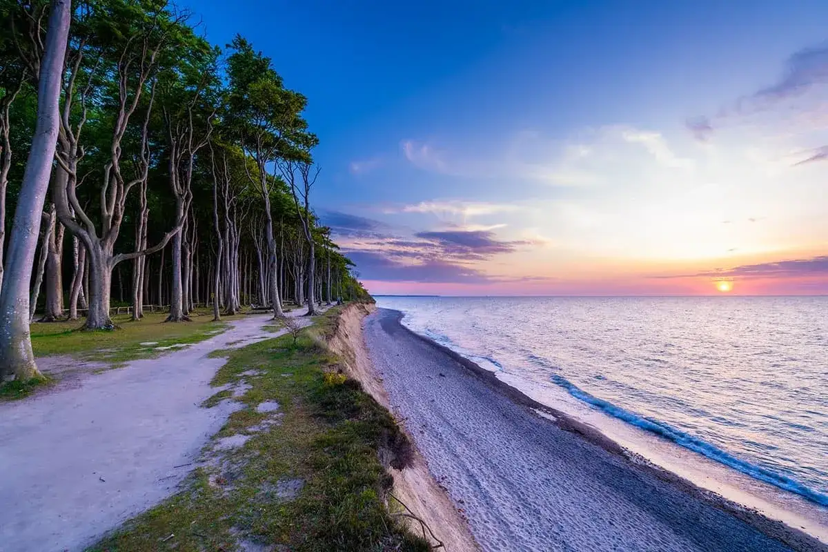 Sonnenuntergang am Strand Nienhagen mit einer Allee aus Bäumen, die sich entlang der Steilküste erstreckt. Das Meer glitzert im warmen Licht.