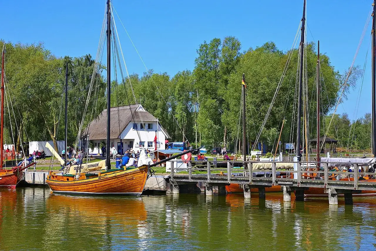 Segelboote im Hafen von Dierhagen. Ein Haus mit Reetdach und grüne Bäume im Hintergrund. Entdecke die Dierhagen Geheimtipps!