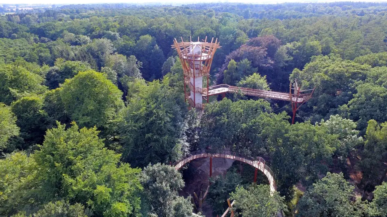 Ein Baumwipfelpfad schl&auml;ngelt sich durch den Ivenacker Tiergarten. Ein futuristischer Aussichtsturm ragt aus dem dichten Gr&uuml;n.