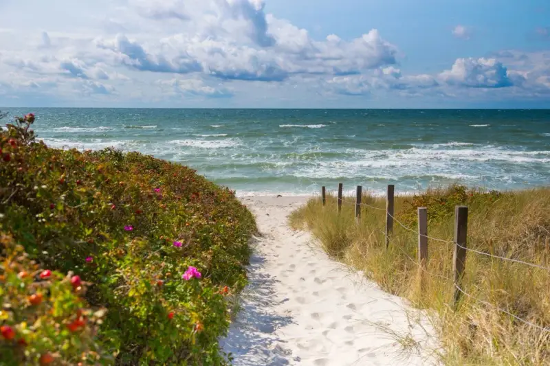 Sandiger Pfad zum **Grambin Strand**, gesäumt von Rosenbüschen und Dünen. Das Meer rauscht, Wolken ziehen am Himmel.